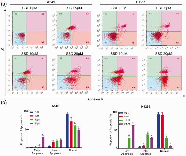 Saikosaponin D Inhibits Proliferation And Induces Apoptosis Of Non