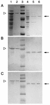 FIG. 3