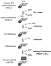 FIG. 1