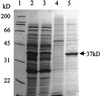 FIG. 4