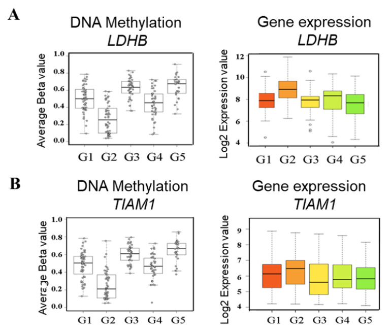 Identification Of TIAM1 As A Potential Synthetic Lethal Like Gene In A