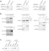 Figure S1
