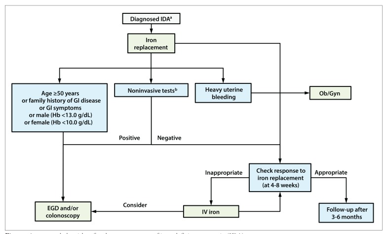 Management Of Iron Deficiency Anemia PMC