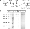 FIG. 1.