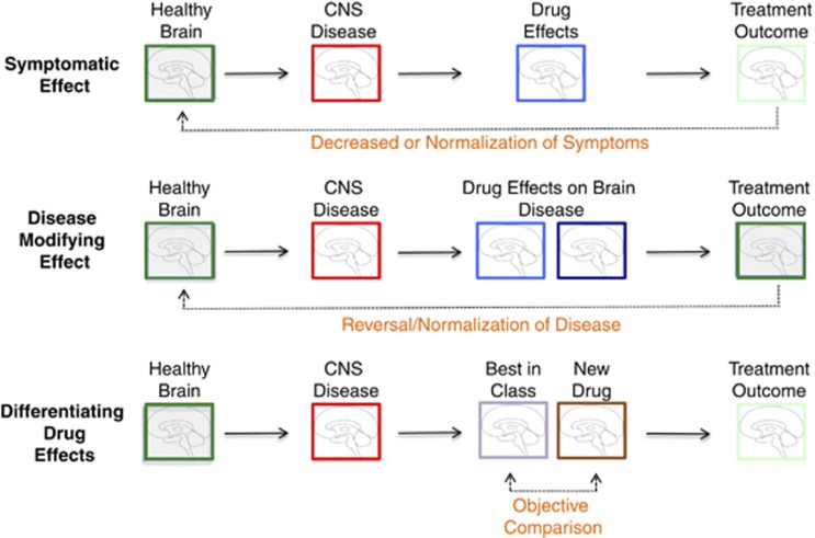 Use Of Functional Imaging Across Clinical Phases In Cns Drug