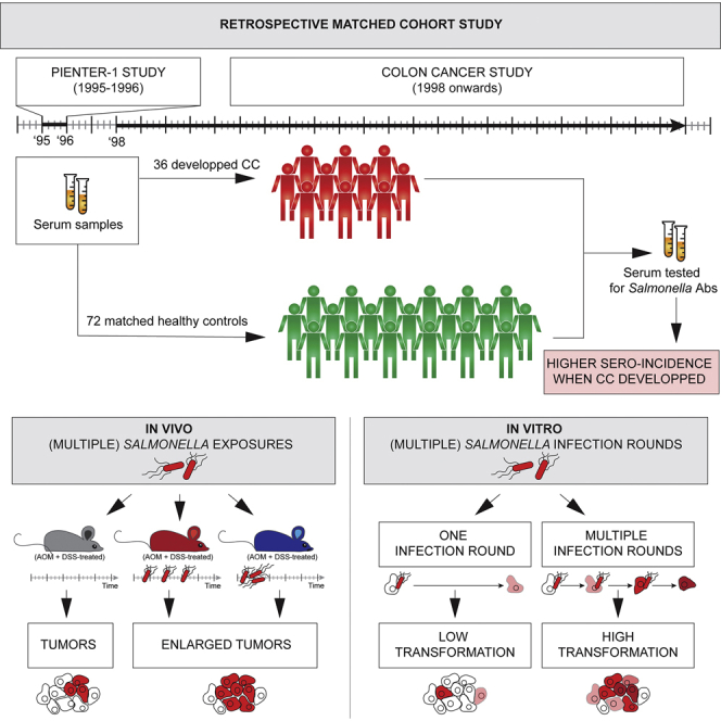 Repetitive Non Typhoidal Salmonella Exposure Is An Environmental Risk