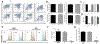 Figure. 6