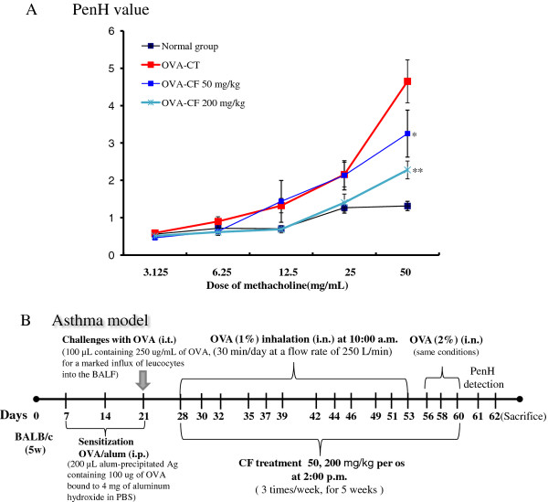 Effects Of Corni Fructus On Ovalbumin Induced Airway Inflammation And