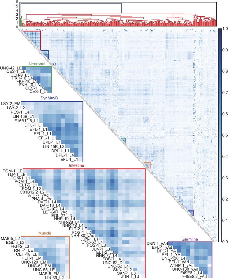 The Modern Resource Genome Wide Binding Profiles For Hundreds Of