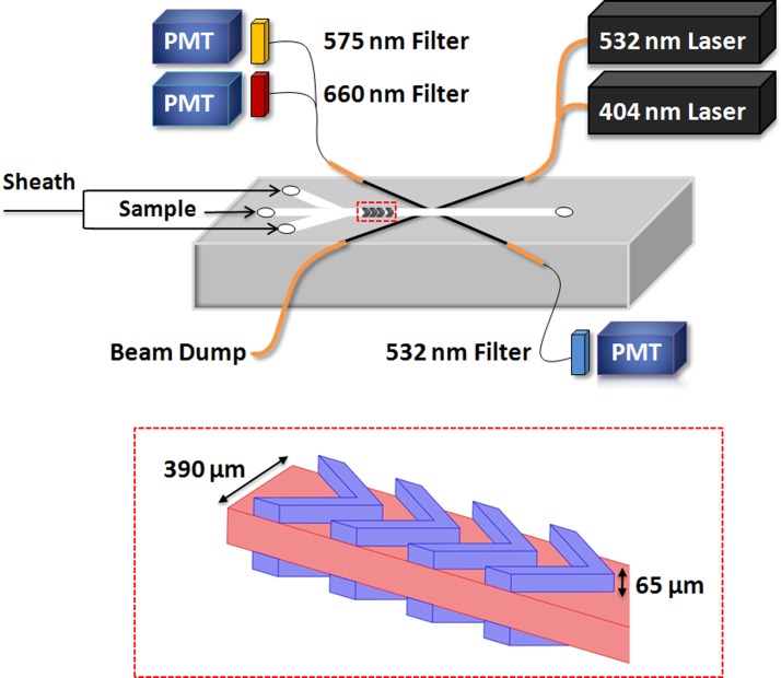 Optofluidic Characterization Of Marine Algae Using A Microflow