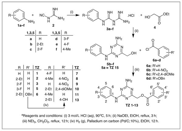 Novel Inhibitors Of Rad Ubiquitin Conjugating Enzyme Design