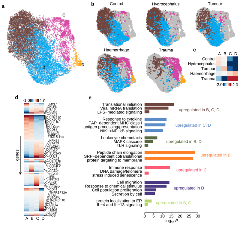 A Map Of Transcriptional Heterogeneity And Regulatory Variation In