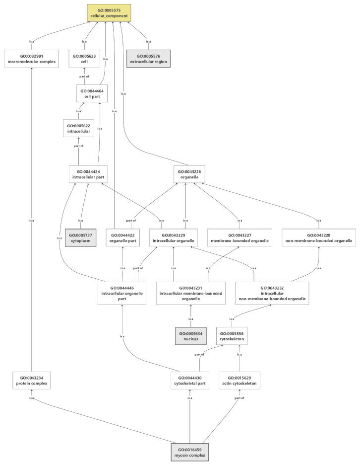 Gene Set Enrichment Analysis For Identifying Genes And Biological