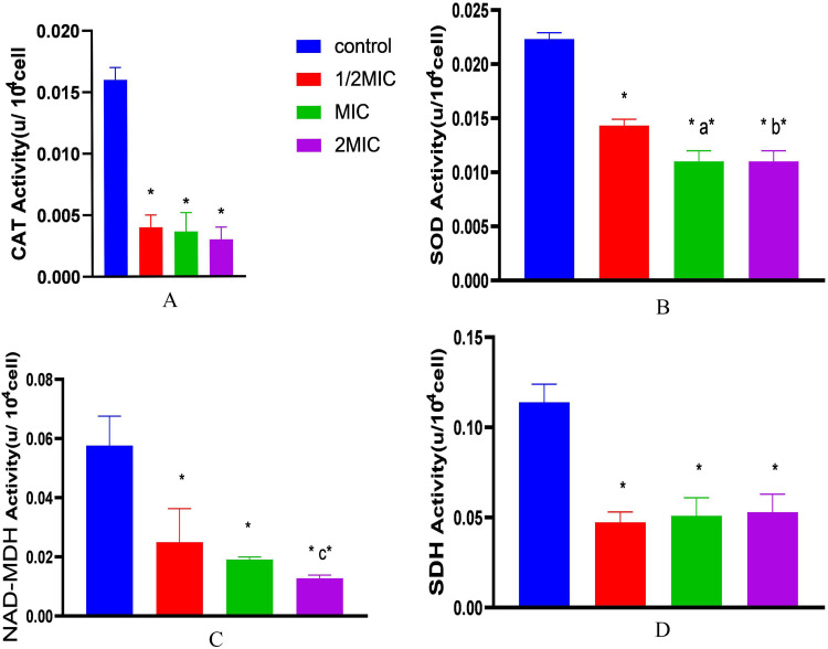 Study On Antibacterial Activity And Mechanism Of Improved Dian Dao San