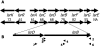 FIG. 1.