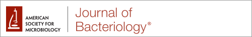 Logo of Journal of Bacteriology