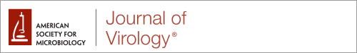 Logo of Journal of Virology