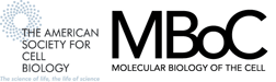 细胞分子生物学标志