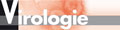 John Libbey Eurotext full text link