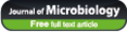 Microbiological Society of Korea full text link