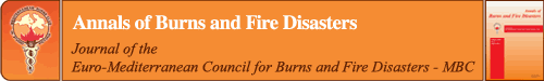 Annals of Burns and Fire Disasters logo