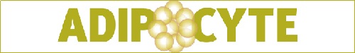 Adipocyte logo