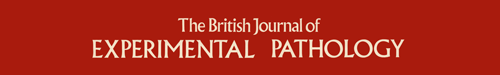 British Journal of Experimental Pathology logo