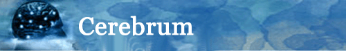 Cerebrum: the Dana Forum on Brain Science logo