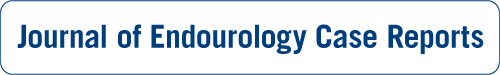 Journal of Endourology Case Reports logo