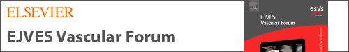 EJVES Vascular Forum logo