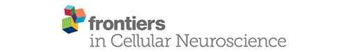 Frontiers in Cellular Neuroscience logo