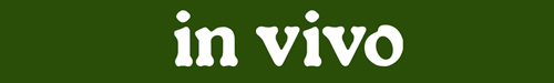 In Vivo logo