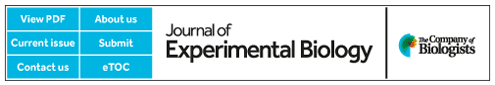 The Journal of Experimental Biology logo