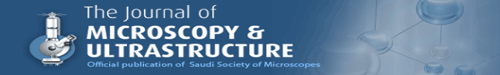 Journal of Microscopy and Ultrastructure logo