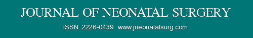 Journal of Neonatal Surgery logo