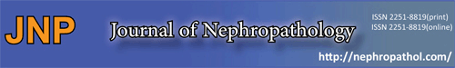 Journal of Nephropathology logo