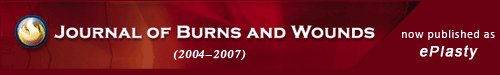 Journal of Burns and Wounds logo