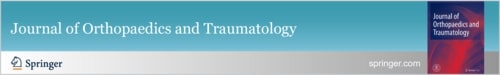 Journal of Orthopaedics and Traumatology : Official Journal of the Italian Society of Orthopaedics and Traumatology logo