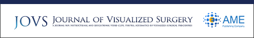 Journal of Visualized Surgery logo