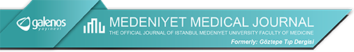 Medeniyet Medical Journal logo