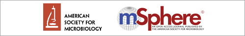 mSphere logo