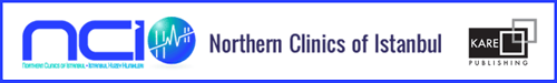 Northern Clinics of Istanbul logo