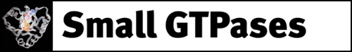 Small GTPases logo