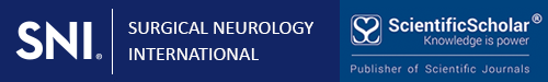 Surgical Neurology International logo