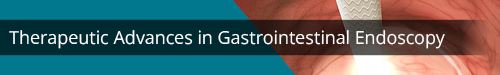 Therapeutic Advances in Gastrointestinal Endoscopy logo