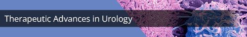 Therapeutic Advances in Urology logo