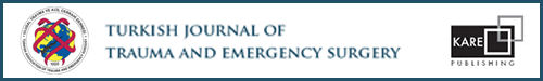 Turkish Journal of Trauma & Emergency Surgery logo