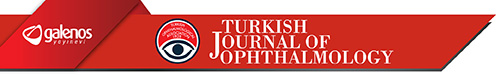 Turkish Journal of Ophthalmology logo