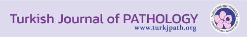 Turkish Journal of Pathology logo