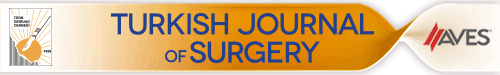 Ulusal Cerrahi Dergisi/Turkish Journal of Surgery logo